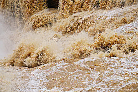 hôm nay bạch thủ con gì