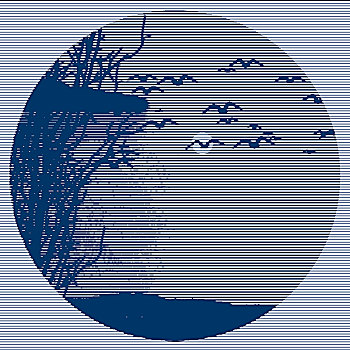 soicau 568