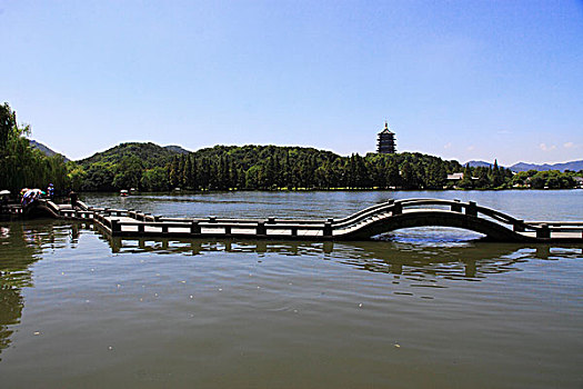 bach thu soi cau
