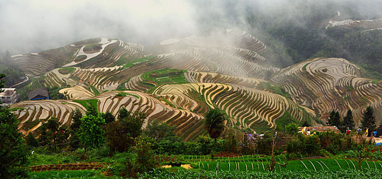 dự đoán xổ số trà vinh hôm nay