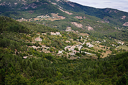 soicâu888