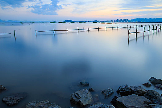 soi cầu bạch thủ lô kép