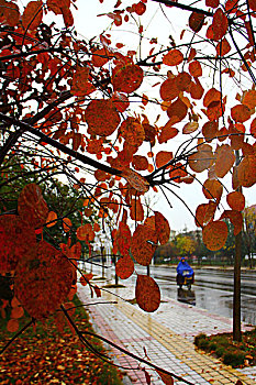 xin số lô đề hôm nay